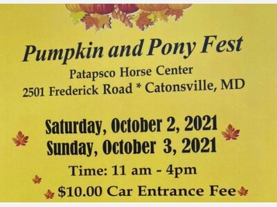 Pumpkin and Pony Fest