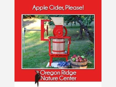 Apple Cider, Please!