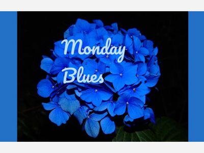 Monday Blues in Baltimore City!