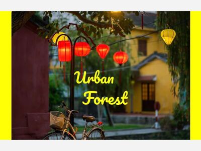 Trees have the right of way!