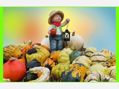 Autumn movies that we love!