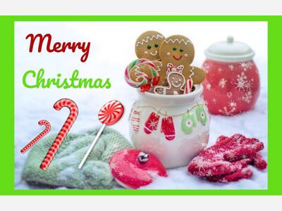 Merry Christmas Neighbors!