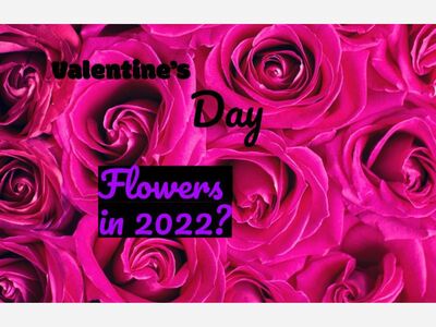 Valentine’s Day through the years!