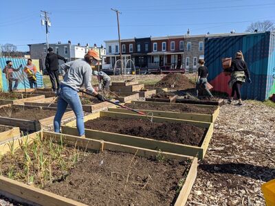 Sisson Street Park Garden Workday 