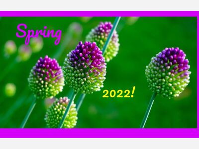 Spring 2022!