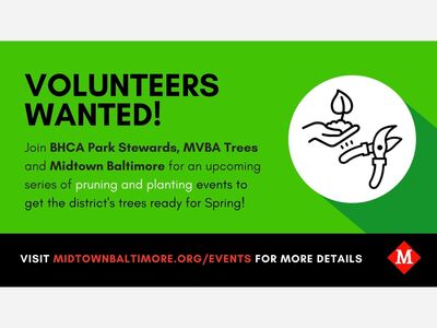 Bolton Hill Tree Planting