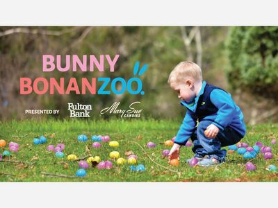 Bunny Bonanzoo