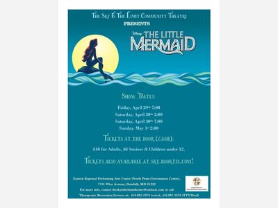 The Little Mermaid Musical Live