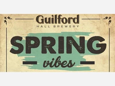 Guilford Spring Vibes Music Fest