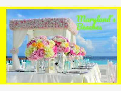 Best Maryland Beaches around Town!