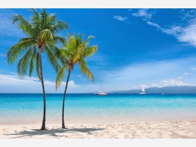 “Jamaican Me Crazy” Summer Kick-Off