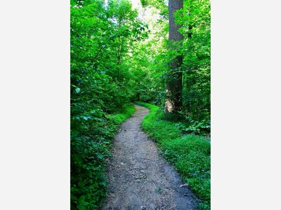 National Trail Day Hike