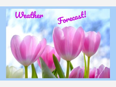 Your Baltimore weather forecast for Tuesday, Aug 2 - Saturday, Aug 6